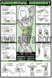 GYM WORKOUT POSTER ALL BODY Abs Bicep Chest Back Tricep Exercise, A4 A3 A2  A1