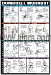 Dumbbell Chest and Arm Workout Poster