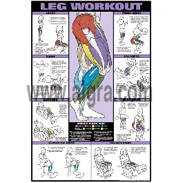 legs workout chart for men
